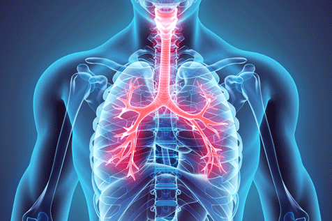 Dysfunctional Breathing Training for Physiotherapists